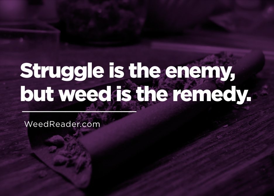Struggle is the enemy, but weed is the remedy
