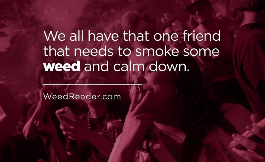 We all have that one friend that needs to smoke some weed and calm down