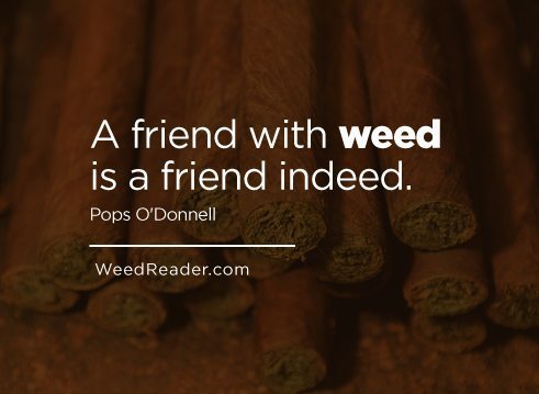a-friend-with-weed-is-a-friend-indeed