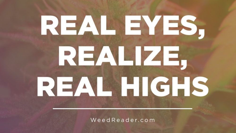 Real Eyes Realize Real Highs