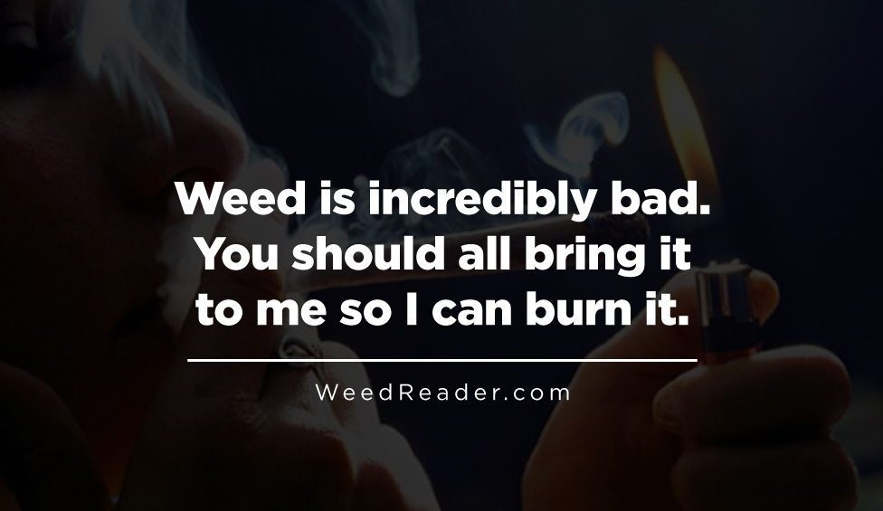 Weed is incredibly bad. You should all bring it to me so I can burn it
