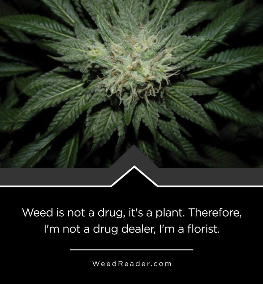 Weed is not a drug, it’s a plant. 