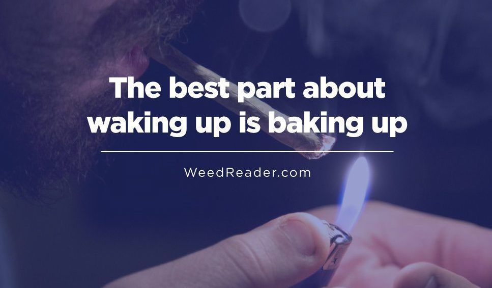The best part about waking up is baking up