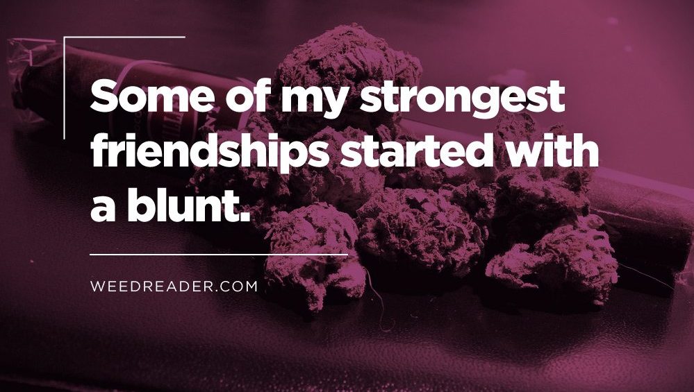 some of my strongest friendships started with a blunt