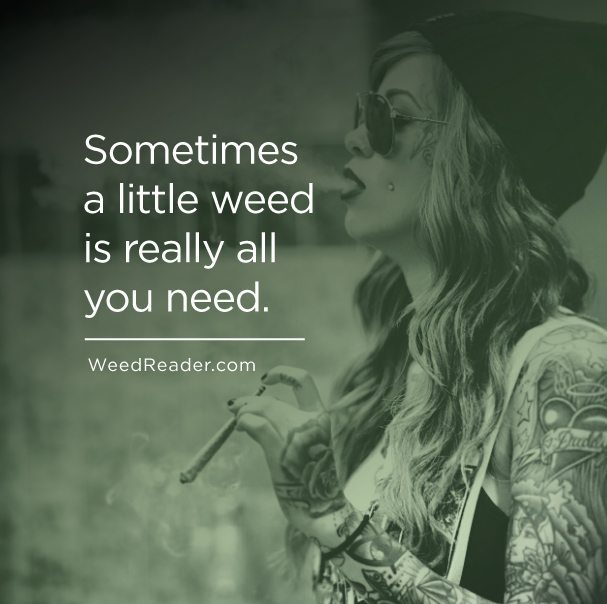 Sometimes a little weed is really all you need