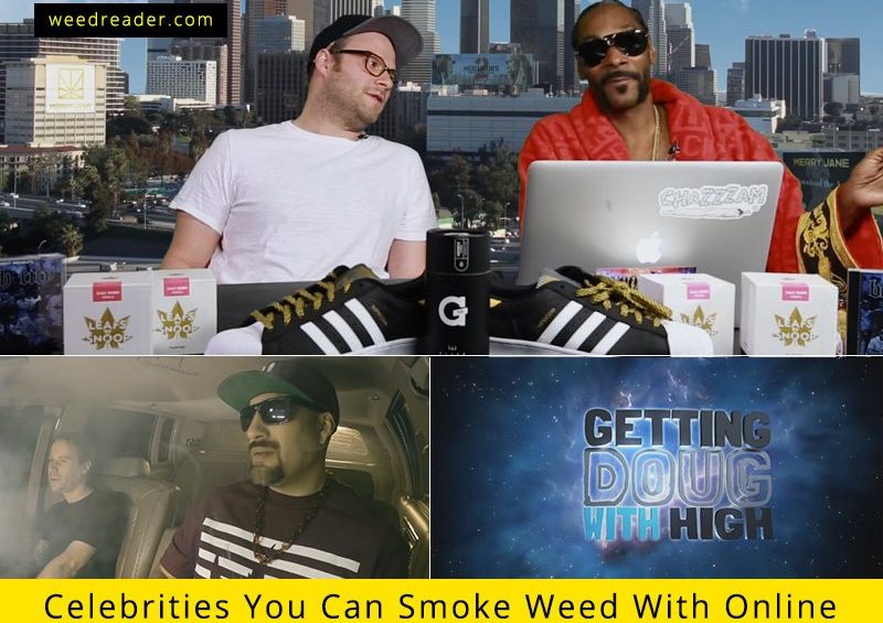 weedreader online