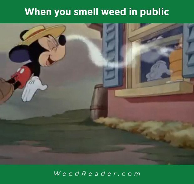 when-you-smell-weed-in-public