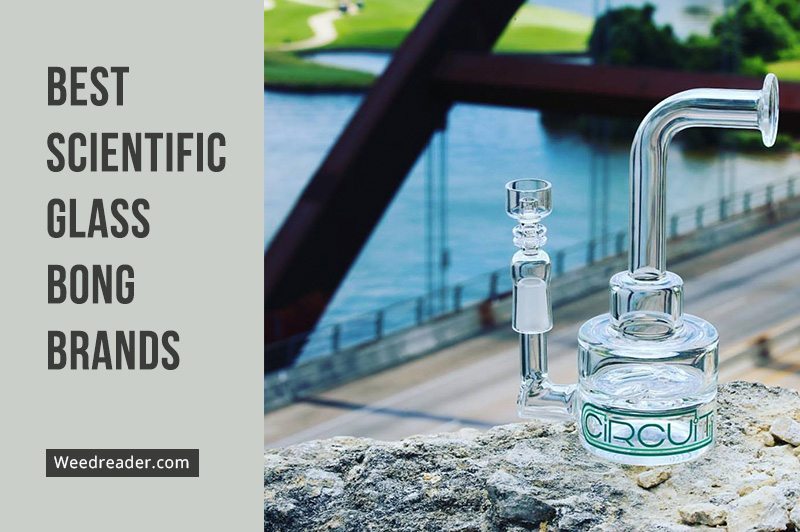 Best Scientific Glass Bong Brands