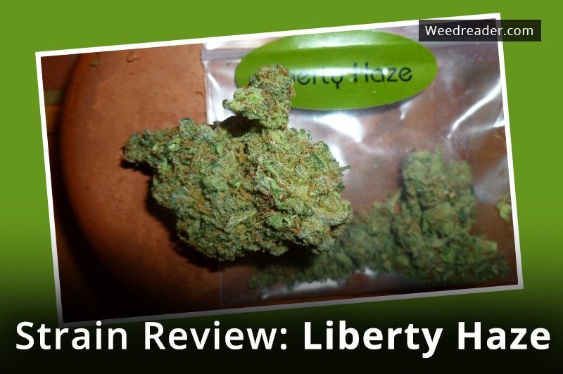 Strain Review Liberty Haze
