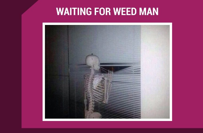 Waiting For Weed Man