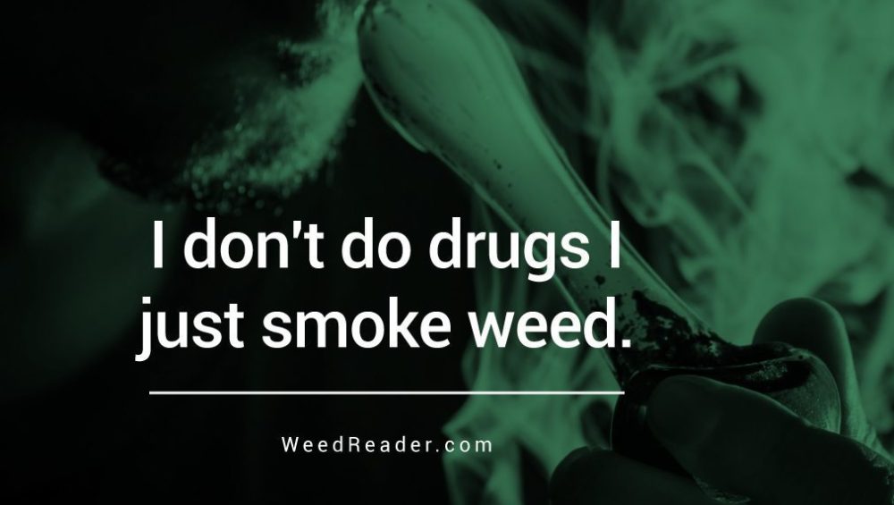I Dont Do Drugs I Just Smoke Weed.