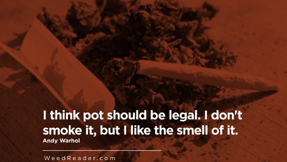 I think pot should be legal. I dont smoke it but I like the smell of it.Andy Warhol