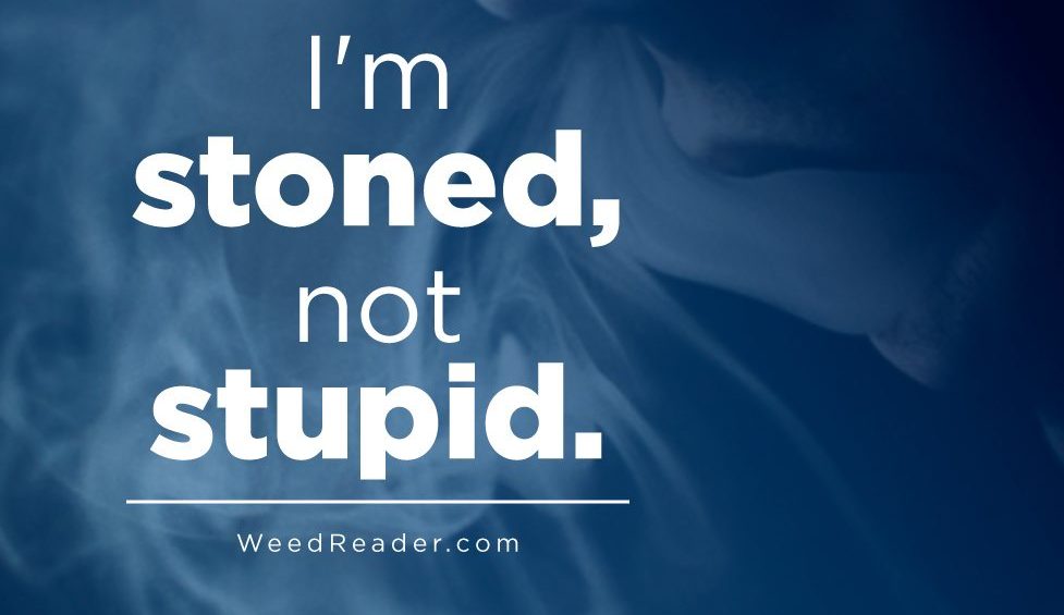 Im stoned not stupid.