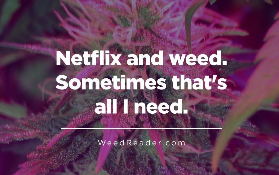 Netflix and weed. Sometimes thats all I need. 1