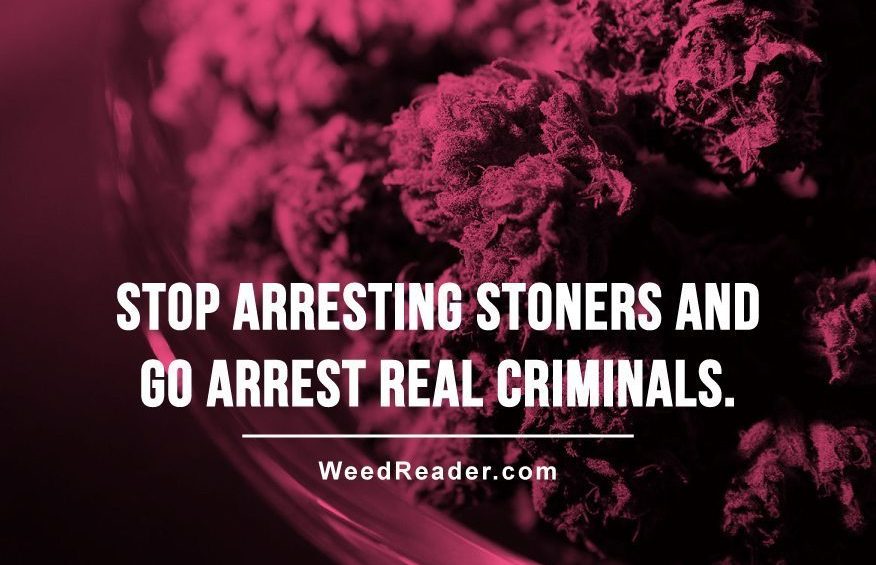 Stop arresting stoners and go arrest real criminals.