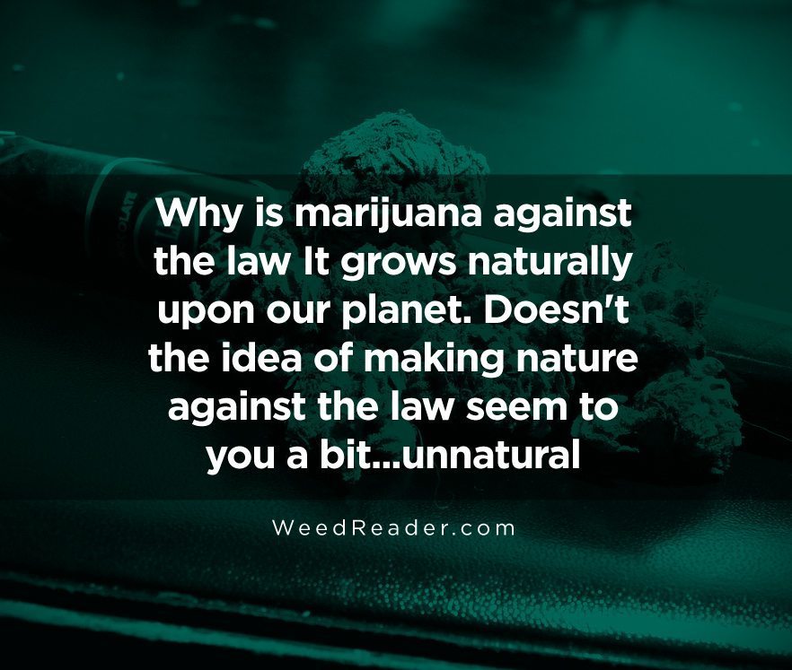 why-is-marijuana-against-the-law-it-grows-naturally-upon-our-planet-doesnt-the-idea-of-making-nature-against-the-law-seem-to-you-a-bit-unnatural