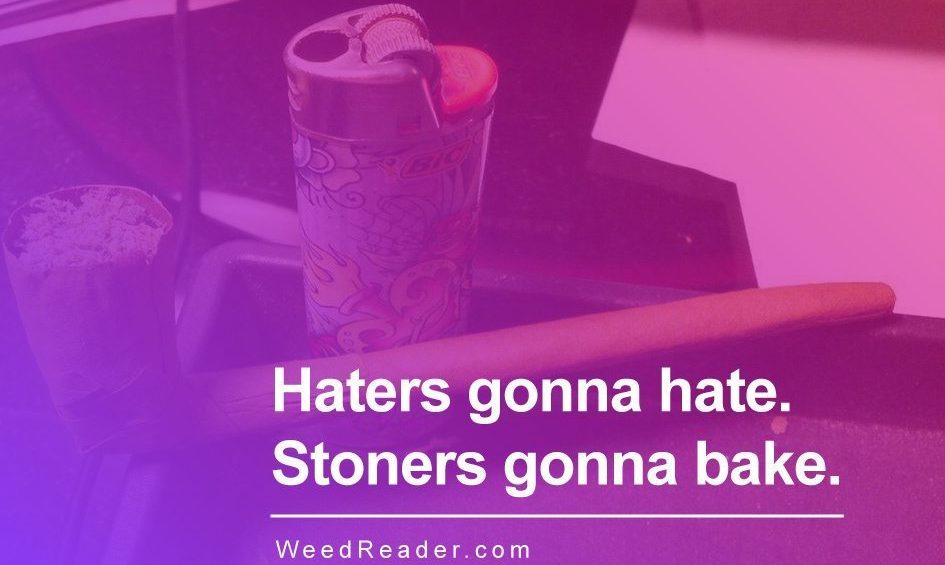 Haters gonna hate. Stoners gonna bake