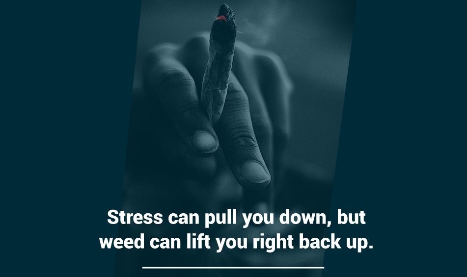 Stress can pull you down but weed can lift you right back up.