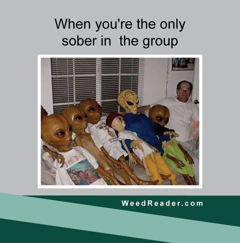 when-youre-the-only-sober-in-the-group