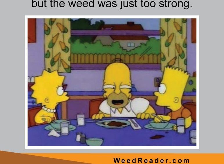 When youre trying to act normal but the weed was just too strong.