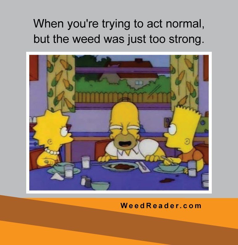 when-youre-trying-to-act-normal-but-the-weed-was-just-too-strong