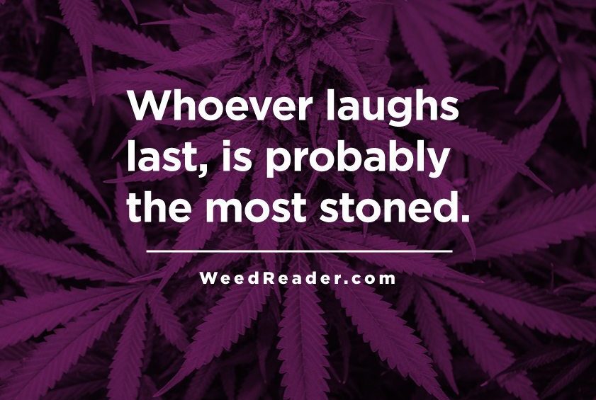 Whoever laughs last is probably the most stoned.