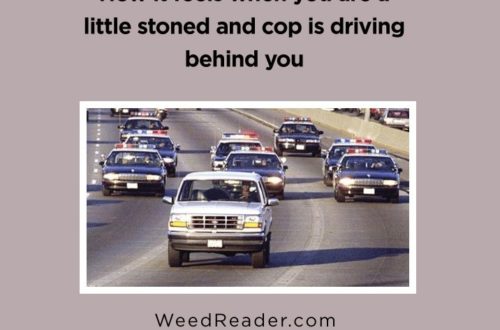 How it feels when you are a little stoned and cop is driving behind you