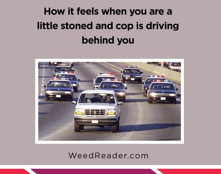How it feels when you are a little stoned and cop is driving behind you