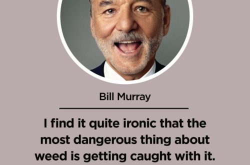 I find it quite ironic that the most dangerous thing about weed is getting caught with it. Bill Murray 1