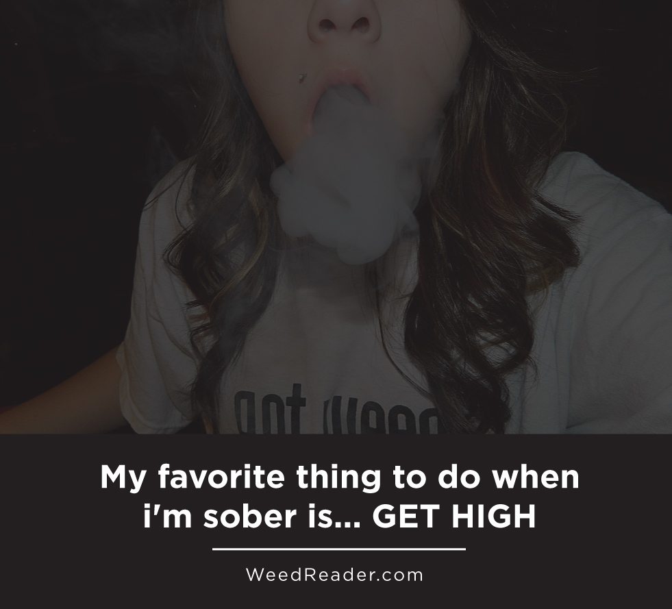 my-favorite-thing-to-do-when-im-sober-is-get-high