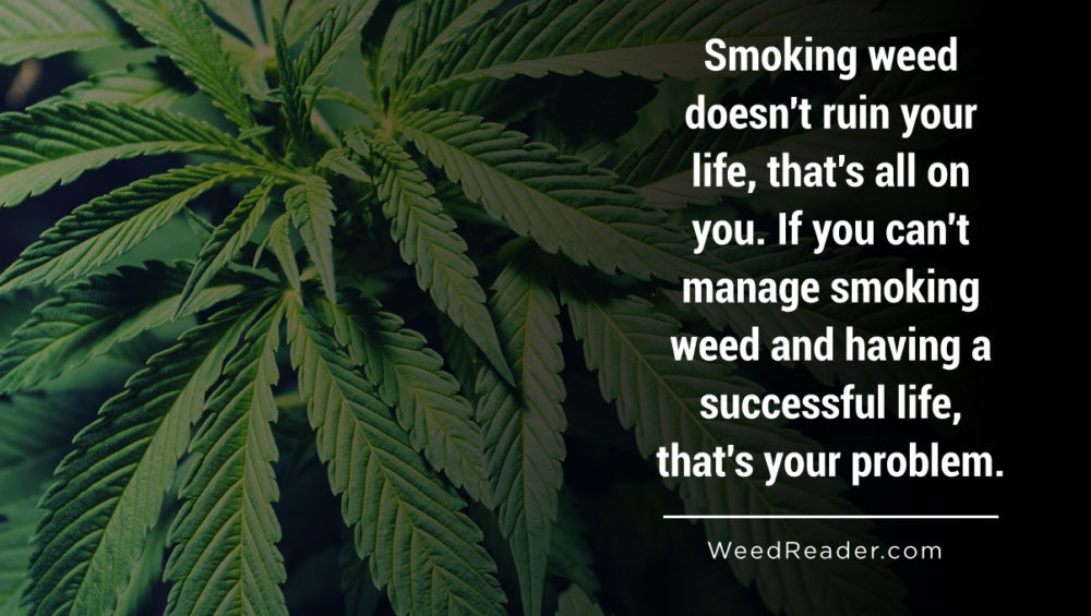 Smoking weed doesnt ruin your life thats all on you. If you cant manage smoking weed and having a successful life thats your problem.