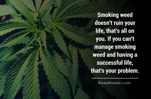 Smoking weed doesnt ruin your life thats all on you. If you cant manage smoking weed and having a successful life thats your problem.