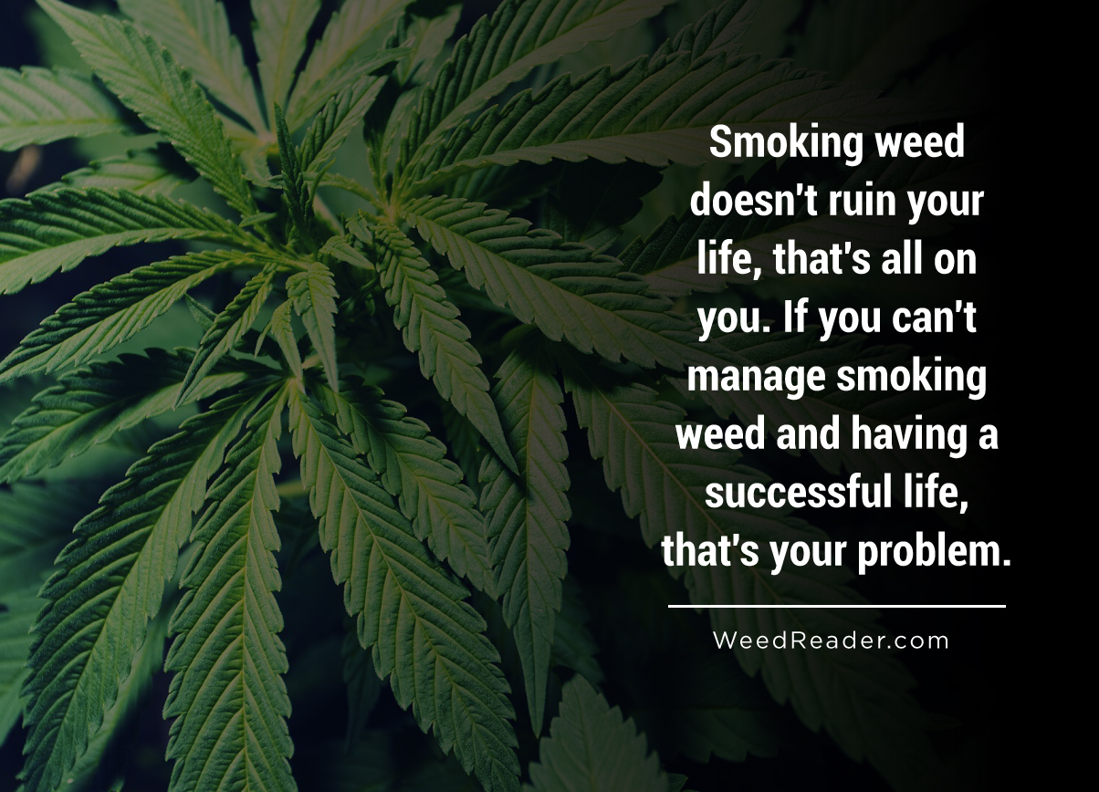 smoking-weed-doesnt-ruin-your-life-thats-all-on-you-if-you-cant-manage-smoking-weed-and-having-a-successful-life-thats-your-problem