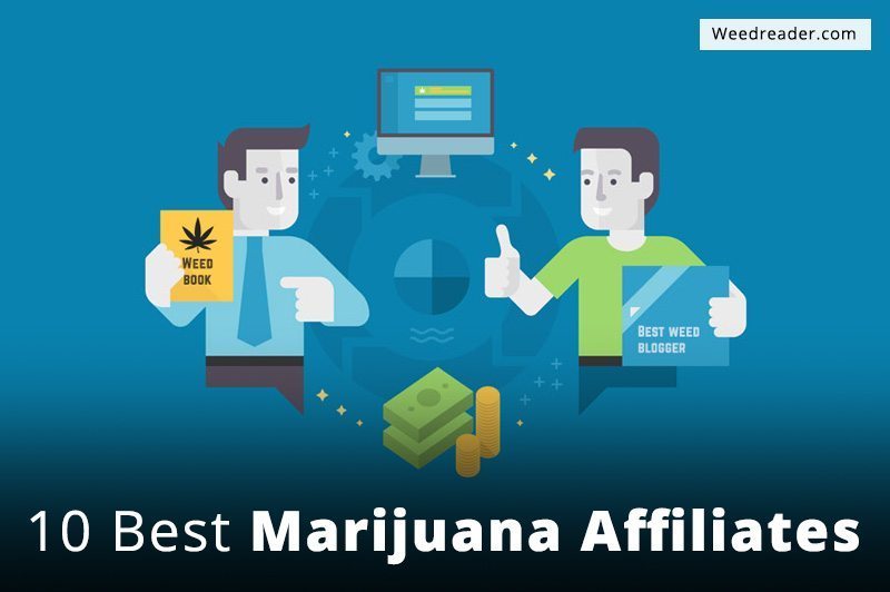 weed affiliates