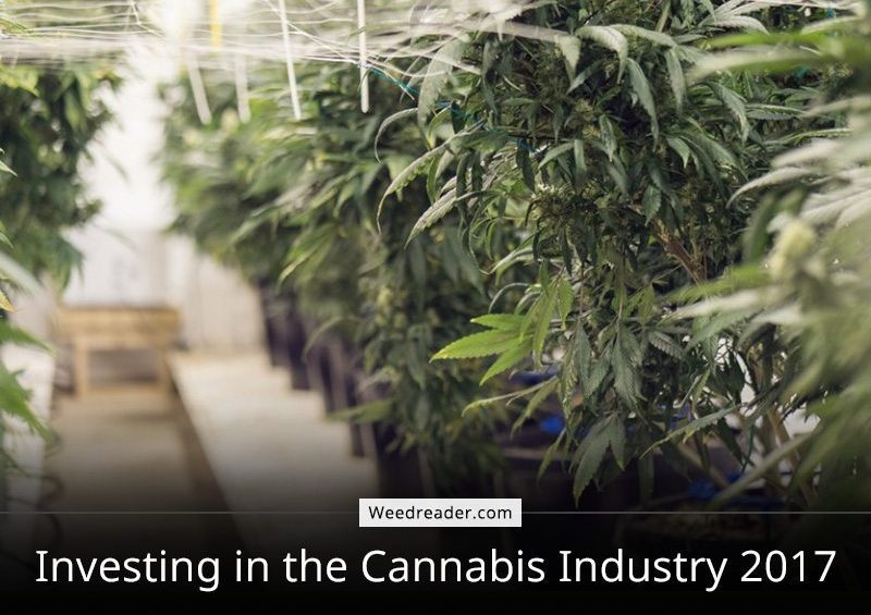Investing in the Cannabis Industry 2017