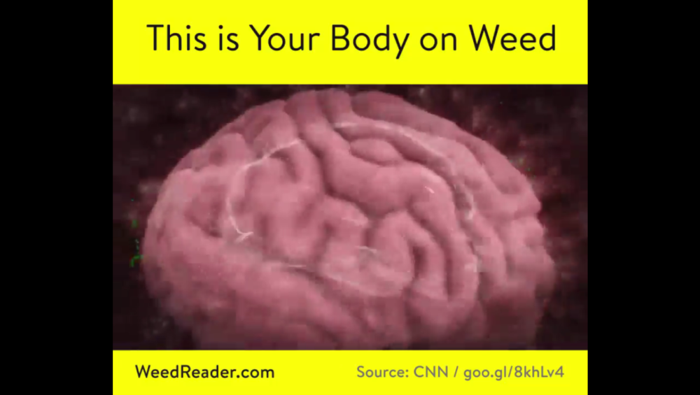 This is Your Body on Weed