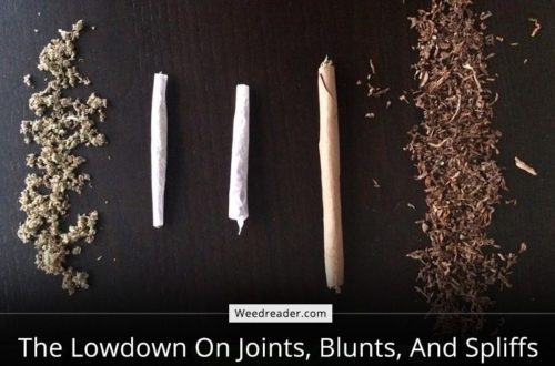 joints blunts