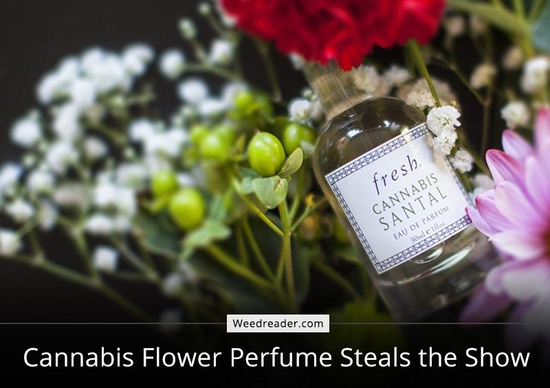 Cannabis Flower Perfume Steals the Show