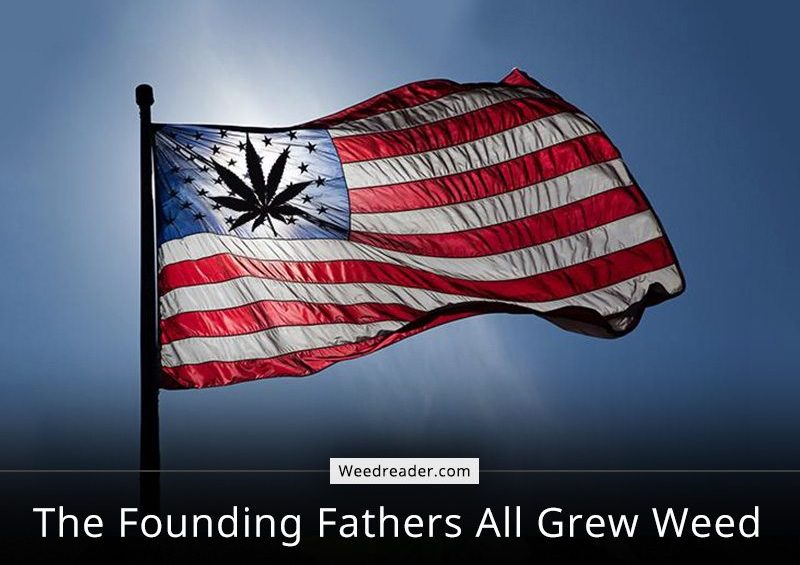 The Founding Fathers US All Grew Weed