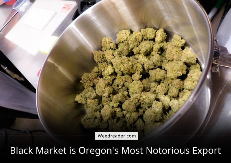 Black Market is Oregons Most Notorious Export
