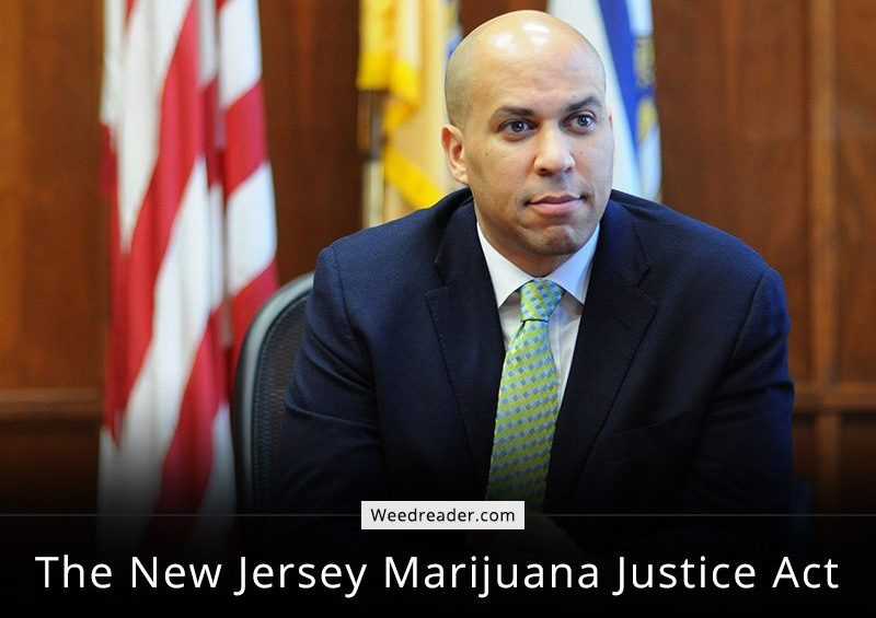 The New Jersey Marijuana Justice Act