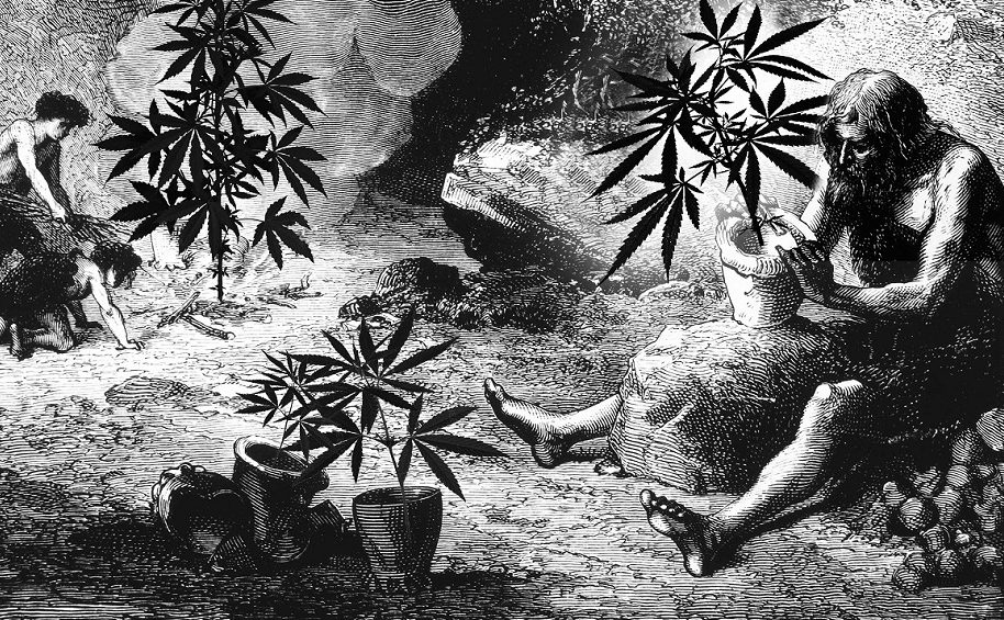 history of cannabis